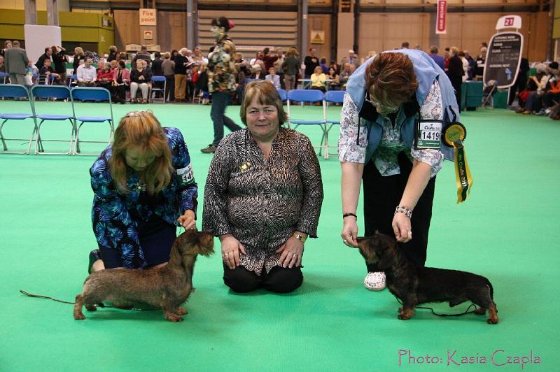 Crufts2011_2 1657.jpg